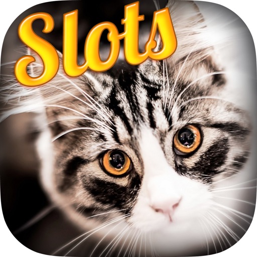 Aaron's Cat Free Slots iOS App