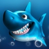 Jumpy Shark