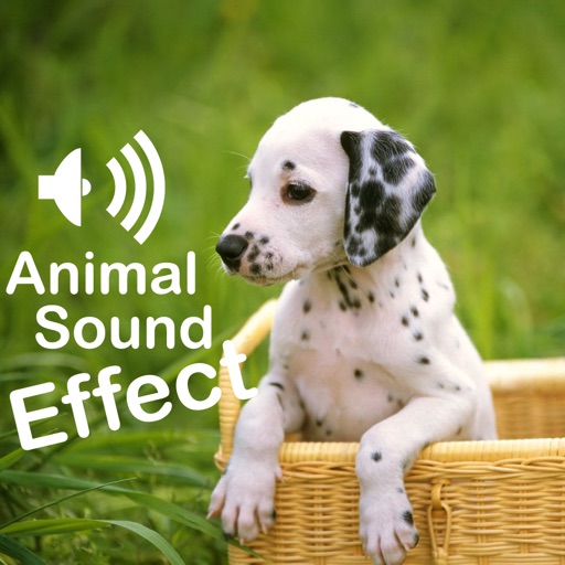 All Animal Family Sounds Icon