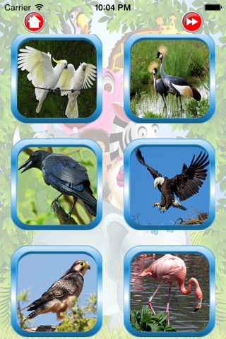 Bird For Kid - Educate Your Child To Learn English In A Different Way screenshot 2