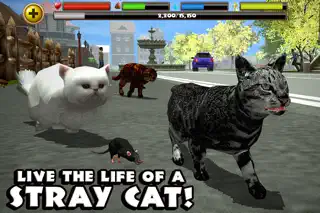 Stray Cat Simulator - Screenshot 1