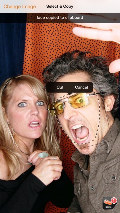 Friend Blender – Swap Faces screenshot-3