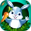 A Fun Forrest Bunny Bounce - Magical Pet Jump Challenge FREE