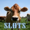 Farm Animals Slots - FREE Gambling World Series Tournament