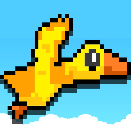 Duck Bird Flyer Game - don't hit the slide block