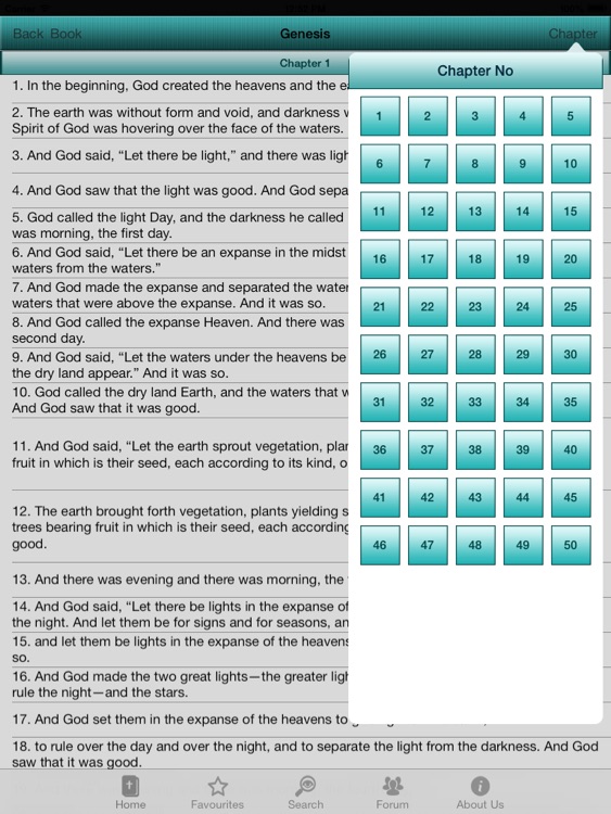 Holy Bible RSV Offline for HD screenshot-4