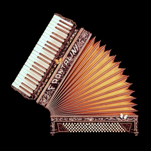 Accordion For Beginners icon