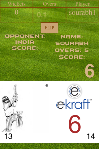 Book Cricket Game screenshot 4