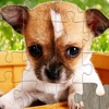 Cute Dog JigSaw Puzzle Game for Kids Free