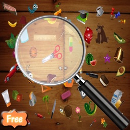 Hidden Object : Can You Find It ?
