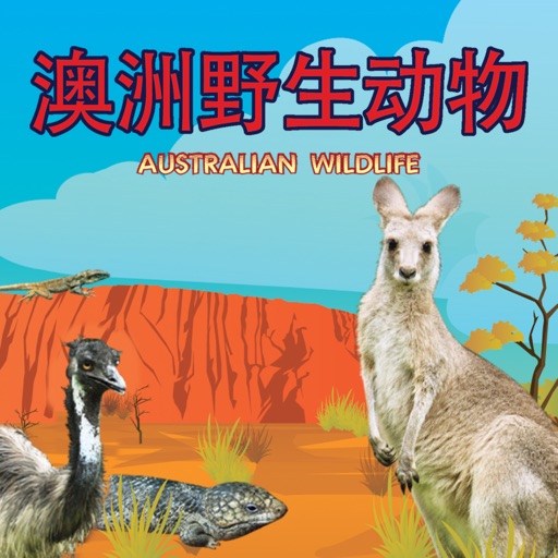 澳洲野生动物 Australian Wildlife