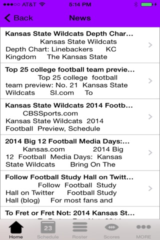 College Sports - Kansas State Football Edition screenshot 3
