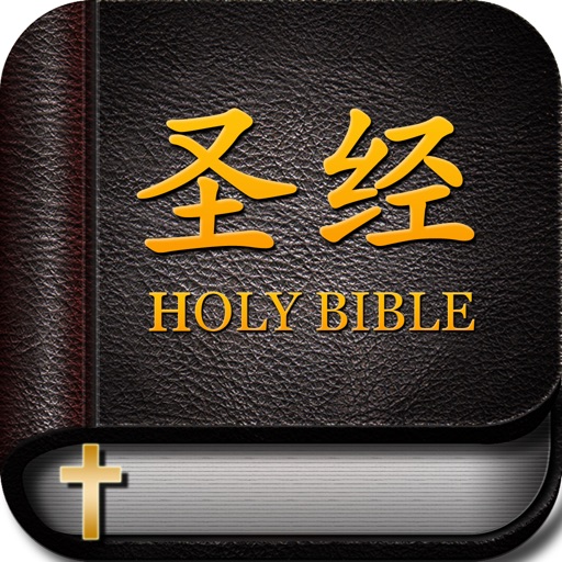Holy Bible Audiobook Chinese Version Pro HD - Listen to God's Words icon