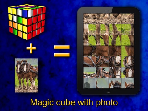 Logic Puzzles+ - náhled