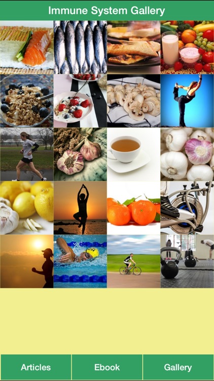 Immune System Guide - Have a Better Health Using Simple Strategy!