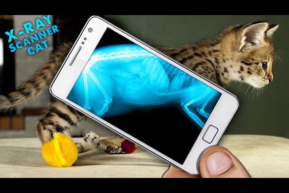 Simulator X-Ray Cat screenshot 2