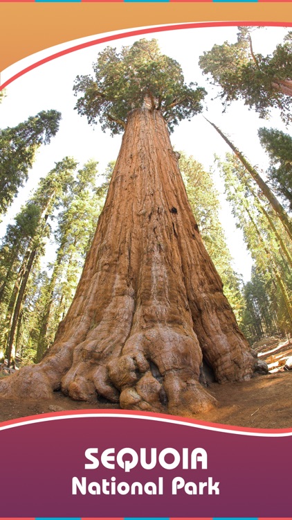 Sequoia National Park
