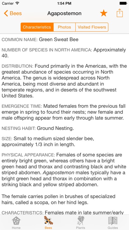 Wild Bee Gardens
