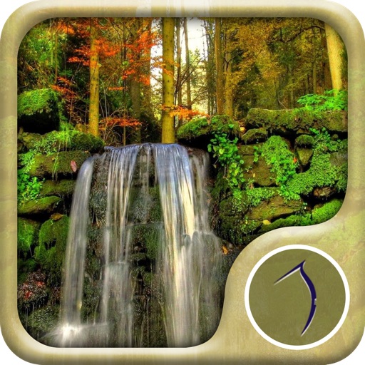Forest Wallpaper: Best HD Wallpapers iOS App