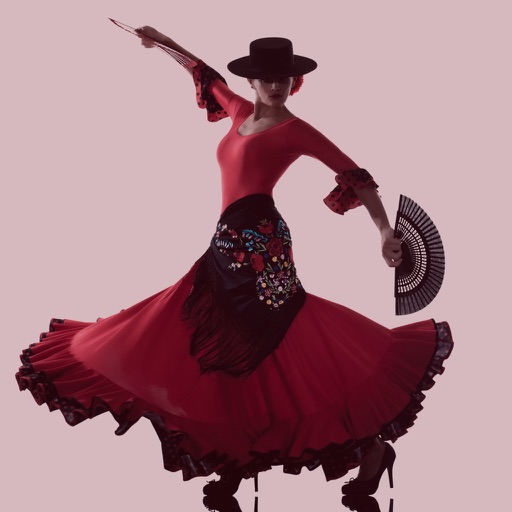 Flamenco Dance Steps icon