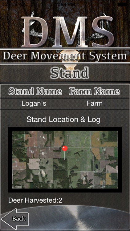 Deer Movement