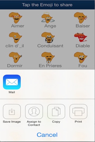 AFROMEE FRENCH VERSION screenshot 4