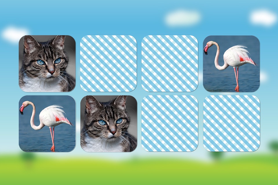 Animal sounds and photos for kids and babies - Touch to hear and learn animals sound and names screenshot 3