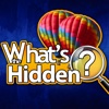 What's The Hidden ? Pro