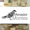 Amador Montes