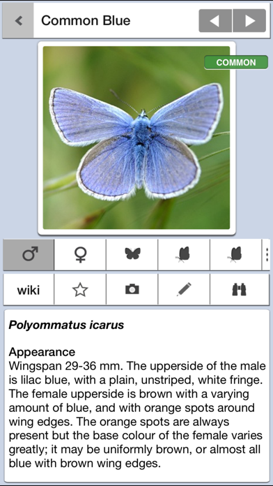 How to cancel & delete Butterfly ID Britain: A Guide to British Butterflies and Day-flying Moths from iSpiny from iphone & ipad 1