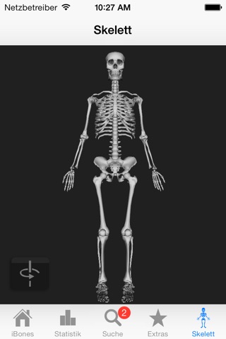 iBones - Skelett Knochen lernen screenshot 4
