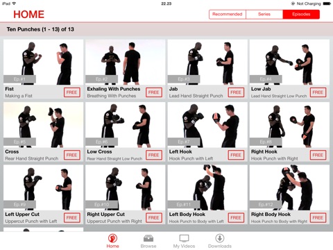 Boxing Lessons - M.A.C. Martial Arts College for iPad screenshot 2