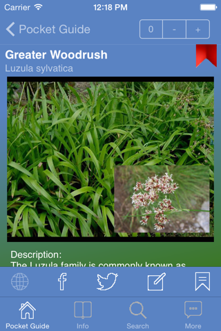 Pocket Guide UK Grasses screenshot 3