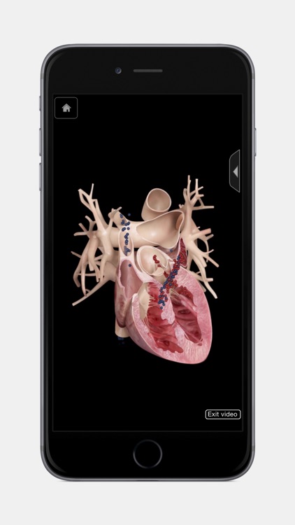 Heart Pro III - iPhone Edition