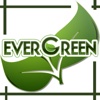 Evergreen Cleaning Services