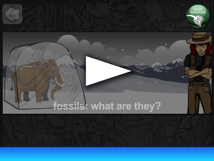 DinosaurDays An animated learning app about dinosaurs Produced by Distant Train screenshot-3