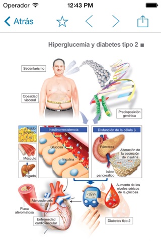 Metabolic syndrome screenshot 4