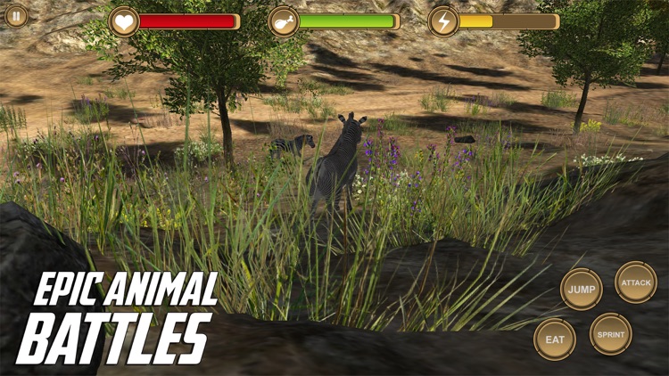 Zebra Simulator HD Animal Life