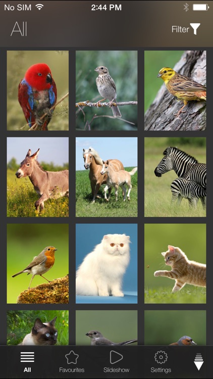 Animal Explorer Free: Sounds and Photos screenshot-3