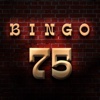 BINGO 75