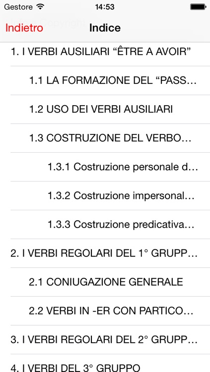 Grammatiche screenshot-3