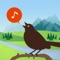 The essential app for all bird lovers