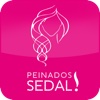 Sedal 101 Peinados para iPad