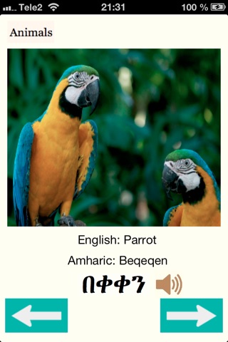 Animals Names in Amharic screenshot 2