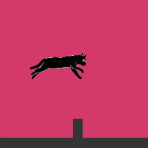 MakeCatsJump iOS App