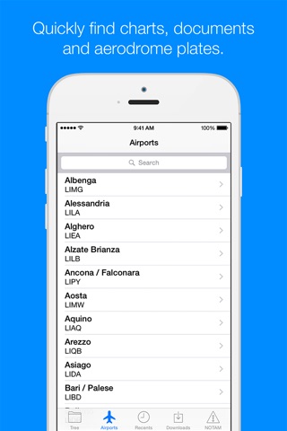 Italy AIP and NOTAMs screenshot 2
