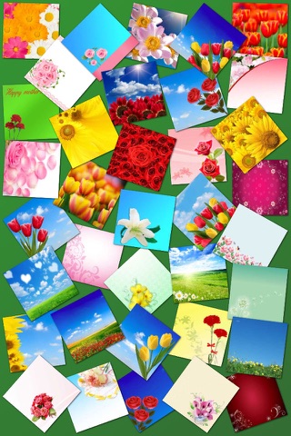 Flower Frames and Posters screenshot 2