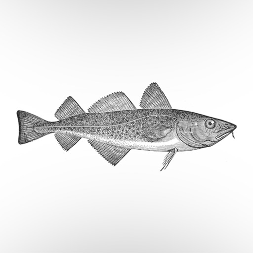 The Steeple Fish Bar, Barnhill - For iPad