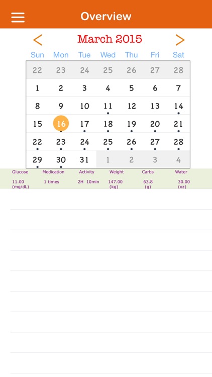 Diabetic Organizer On Go