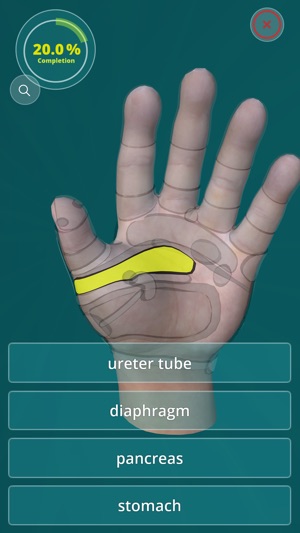 Reflexology Quiz - zones(圖2)-速報App